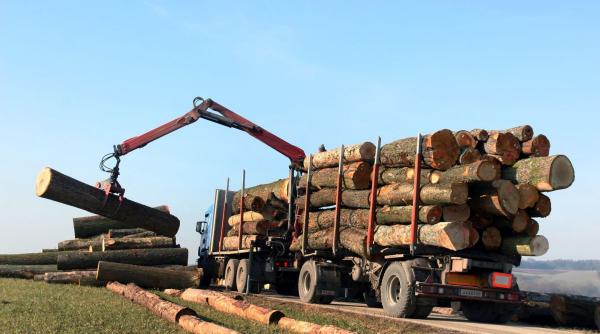 usr avertizeaza renuntare confiscare vehicule transporta ilegal lemne