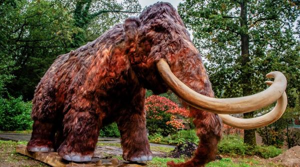 mamut pasarea dodo tigrul tasmanian planeta