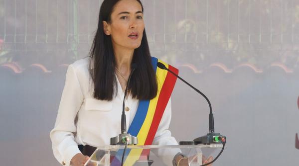 clotilde armand afacere cadastru sectorul 1 imobile