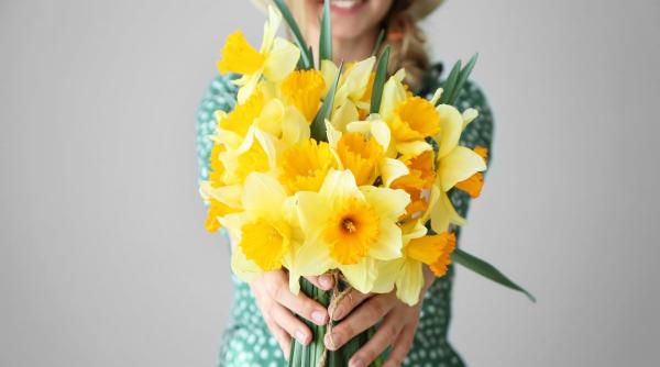ce semnificatie au narcisele si in ce combinatii de flori se potrivesc daca vrei sa oferi un buchet colorat de primavara