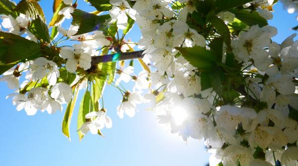 prognoza meteo 1 mai paste