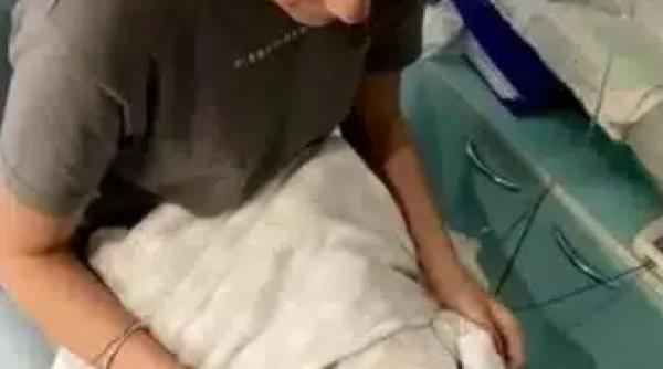 tanara nascut doua ori distanta 22 zile explicatie incredibila