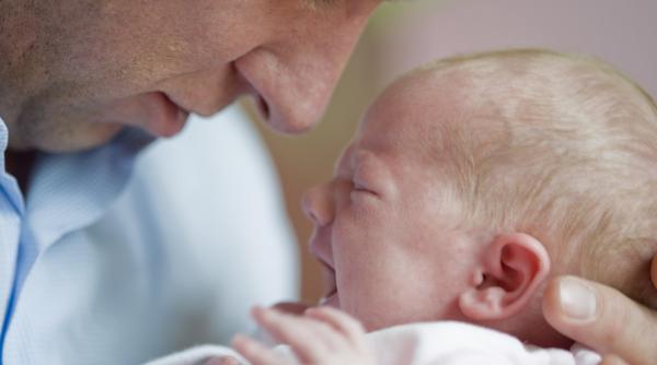 stimulent insertie 2024