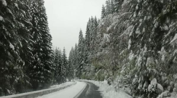 alerta meteo imediata viscol ninsori trei judete marti noapte