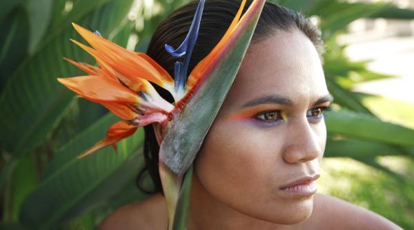 tranzit venus berbec 2024 influenta zodii