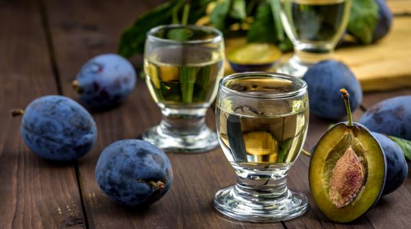 rachiu horinca palinca limba romana dictionar cultural