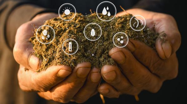 strategii de succes pentru dezvoltarea unei afaceri agricole durabile