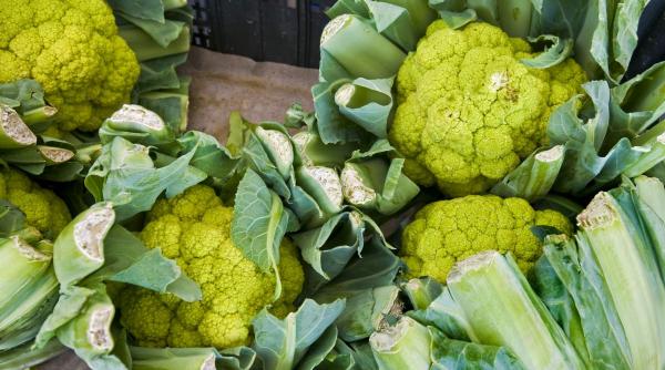 dieta verde incetineste cancer prostata