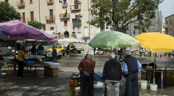 specialistii senatului stiintific al fundatiei dan voiculescu pentru dezvoltarea romaniei dezvaluie elementele cheie pentru incetinirea imbatranirii