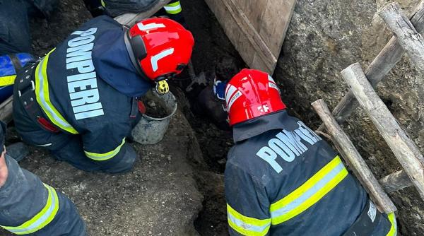 interventie urgenta pamant