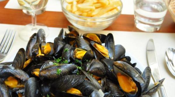 pericol farfurie scoici toxice marea neagra