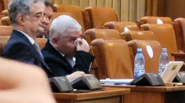 agresiune fizica florin roman dan vilceanu plangere penala