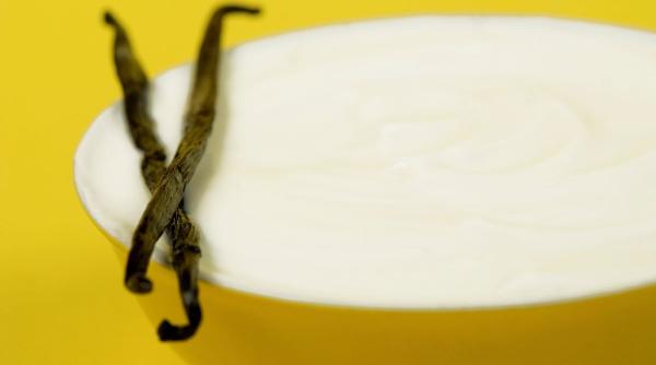 vanilia fruct orhidee pastaie polenizare manuala condiment scump