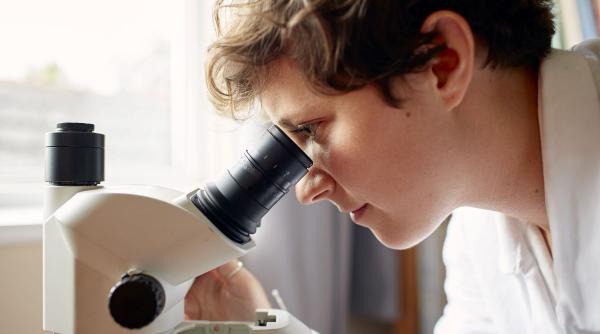 microplastice gasite cheagurile sange inima creier picioare