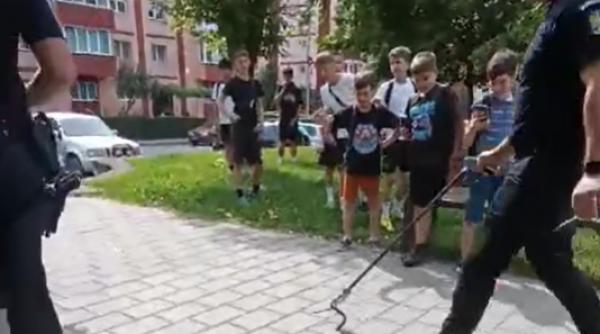 panica parc copii sarpe resita