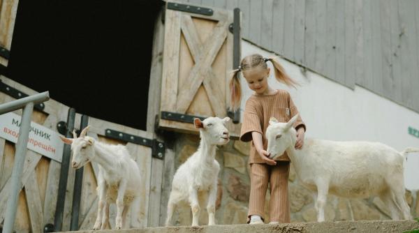 3 activitati care te ajuta sa te relaxezi dupa o saptamana plina