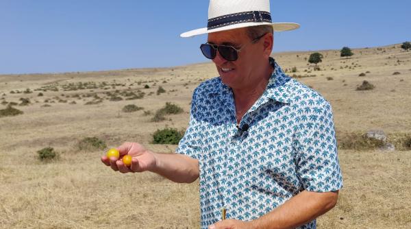 romica tociu cornel palade shondy si iuliana luciu fac echipa in cea de a sasea editie a sezonului 10 poftiti pe la noi poftiti in dobrogea