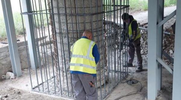 nicusor dan pod grant trafic rutier