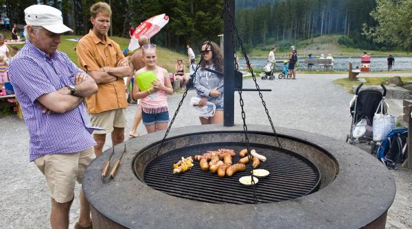 gaz lemne carbuni gratar perfect cumparat alegeri