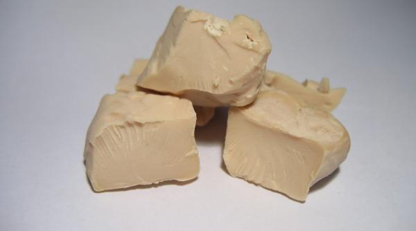 creata proteina aer electricitate