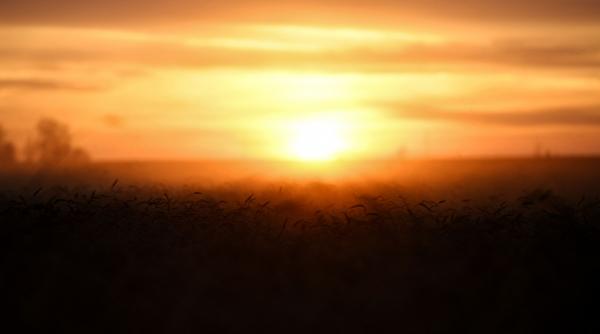 alerta canicula loveste romania oltenia muntenia cod portocaliu