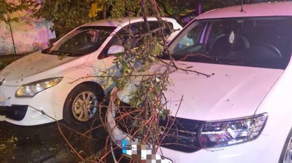 rupere nori pitesti copaci cazuti masini conducta gaze