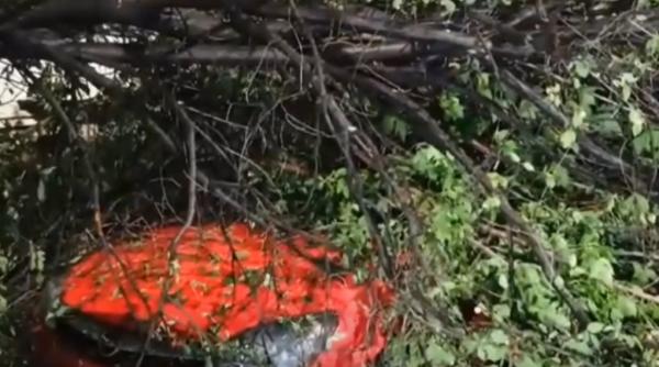 bucuresti ilfov furtuna