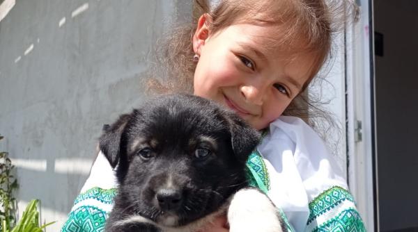 strigatul disperat al unei mame din judetul suceava ajutati ma sa mi operez fetita micuta stefania are nevoie urgent de o interventie chirurgicala pe cord