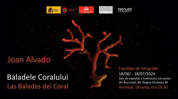 vernisaj baladele coralului las baladas del coral expozitie de eseu fotografic la institutul cervantes din bucuresti