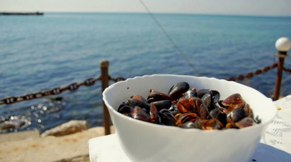 liber pescuit scoici rapane marea neagra