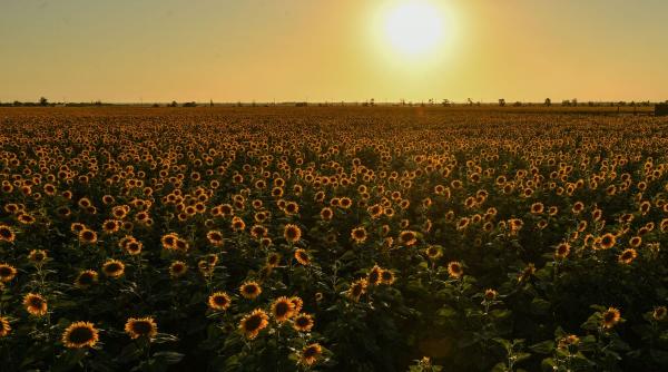 alerta meteo cod rosu canicula romania