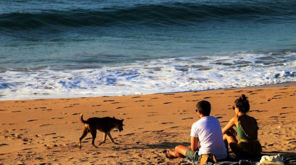 horoscopul zilei duminica 23 iunie 2024