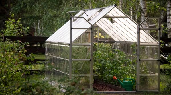 utilizarea serelor de gradina in romania beneficii aplicatii si materiale