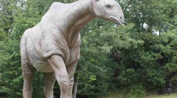 cel mai mare mamifer terestru din istorie paraceratherium rinocerul gigant fara corn