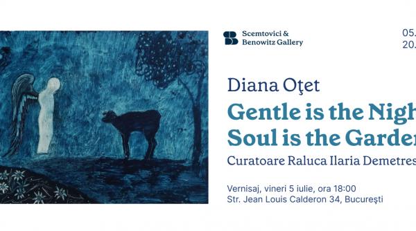 gentle is the night soul is the garden o noua expozitie diana otet la scemtovici benowitz gallery intre 5 iulie si 20 august
