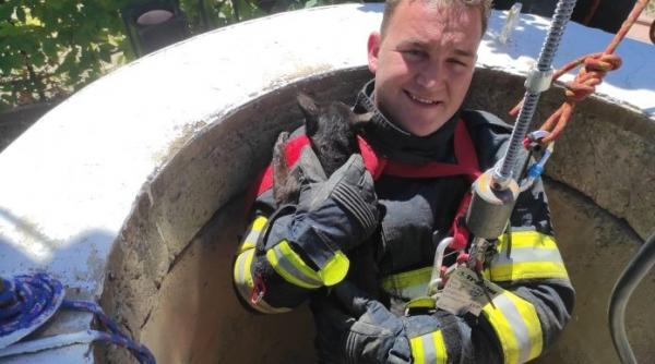 pisica fantana pompieri militari