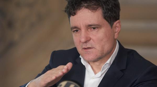 nicusor dan consultarea publica apa