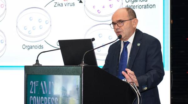 intalnirea regionala wfnr efnr 2024 in cadrul celui de al 19 lea congres al societatii pentru studiul neuroprotectiei si neuroplasticitatii ssnn si a celei de a 19 editii a scolii internationale de vara de neurologie