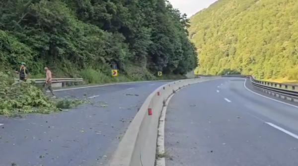 sector boita lazaret dn7 redeschis lucrari reluate miercuri