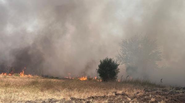 incendiu vegetatie poarta alba camin varstnici