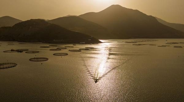 incident plaja japonia turista china purtata curenti 80 kilometri tarm