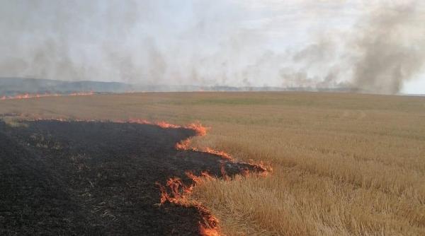 incendiu vegetatie circulatie rutiera blocata turnu magurele corabia