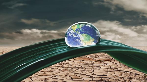 consiliu schimbari climatice comitetul interministerial clima