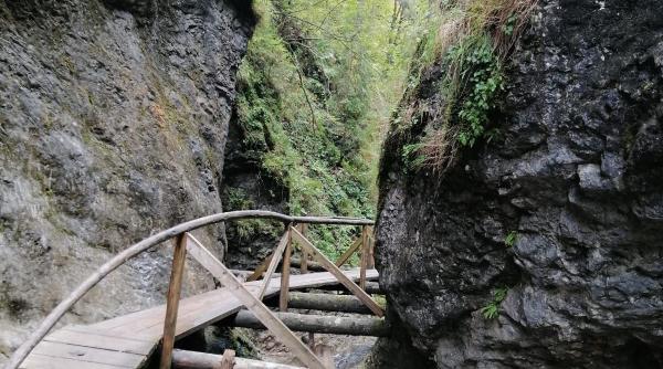 loc romania intineresti