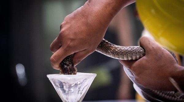 bangkok sase persoane otravite cianura hotel de lux