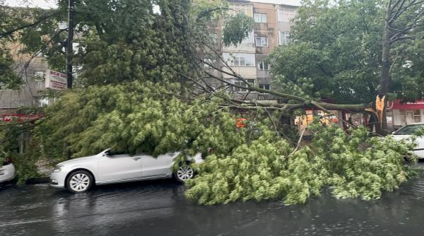 furtuna devastatoare medgidia inundatii masive copaci prabusiti masini