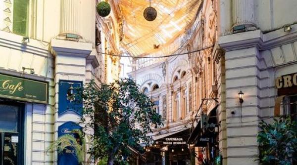 calea victoriei nicusor dan pasaj macca vilacrosse primar