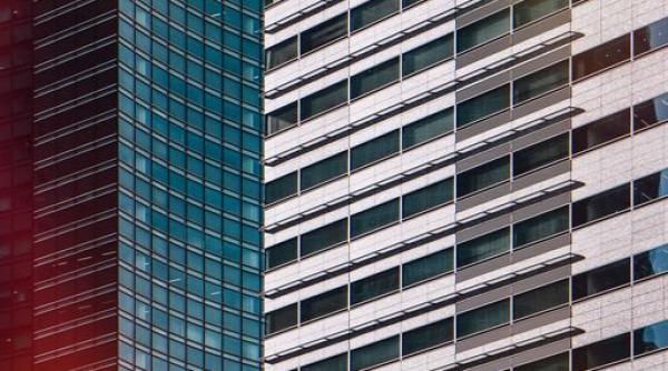 nicusor dan bloc piedone gasca