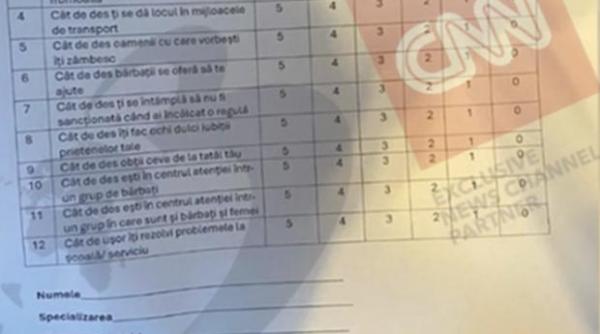 chestionar pentru studente al prof univ alfred bulai