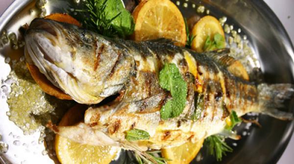 peste pangasius nivel ridicat toxine bacterii